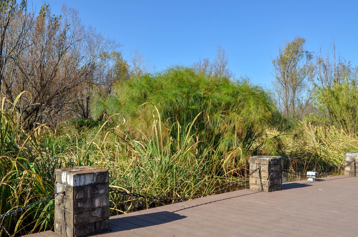 西昌●邛海湿地尼克尔 17-55mm f/2.8G试镜