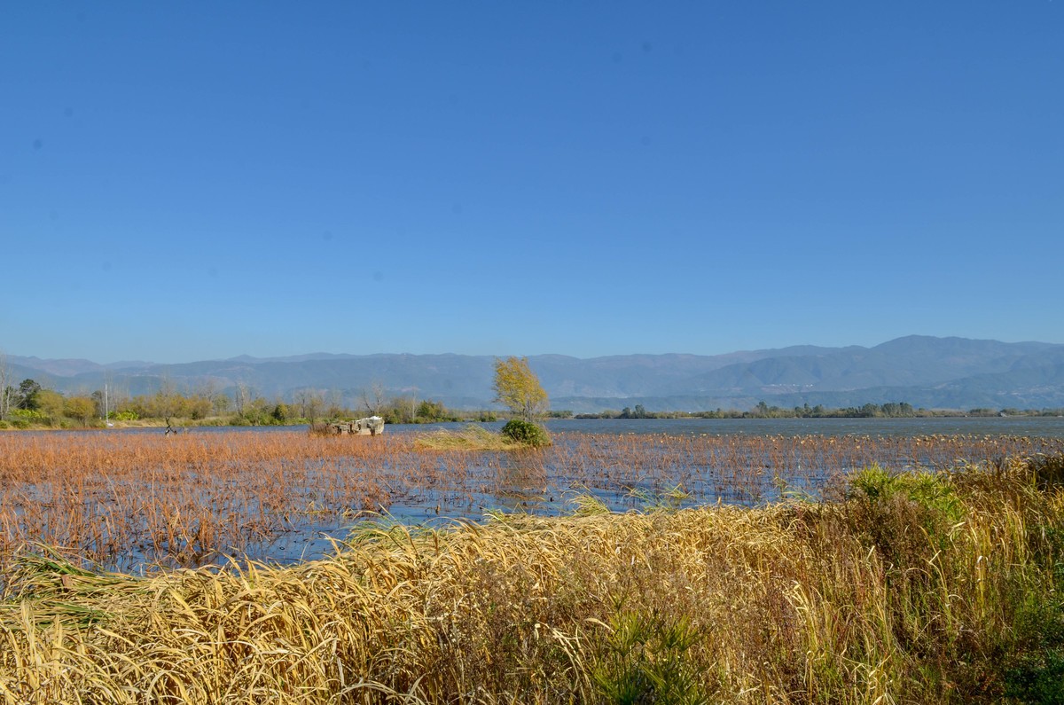 西昌●邛海湿地尼克尔 17-55mm f/2.8G试镜