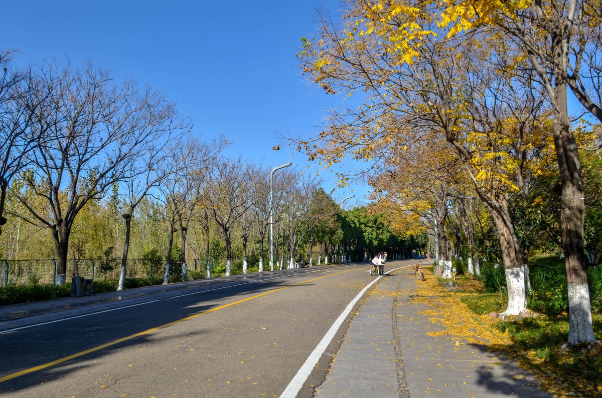 西昌●邛海湿地尼克尔 17-55mm f/2.8G试镜