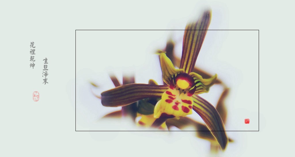 花里有乾坤  生旦净末丑