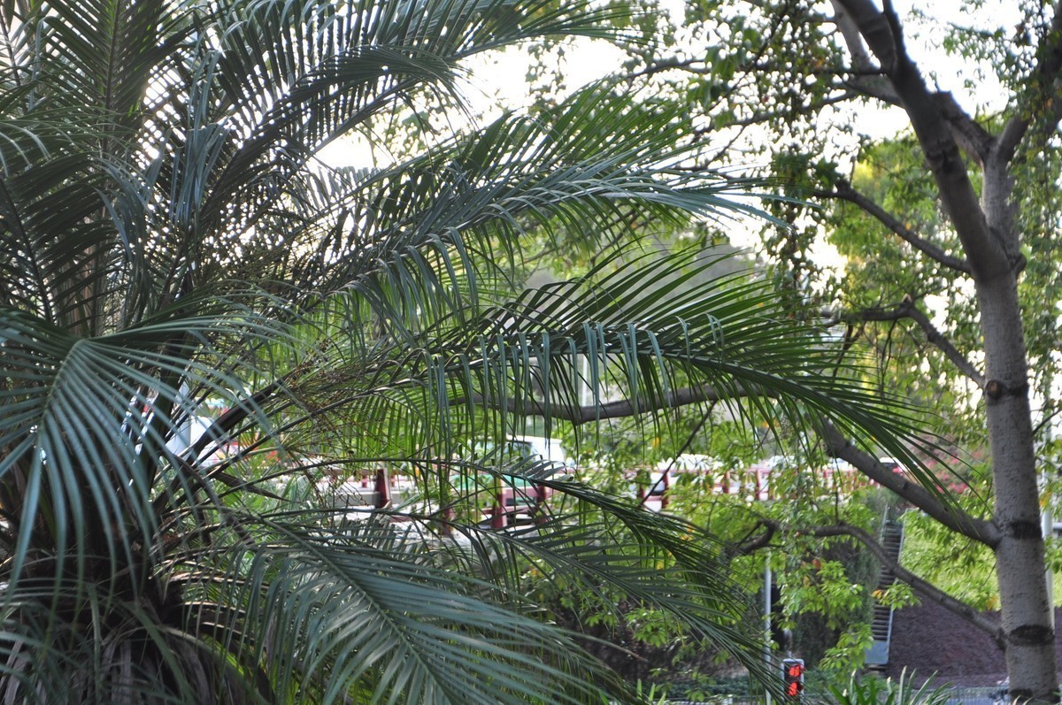 南方的初冬——二手D90