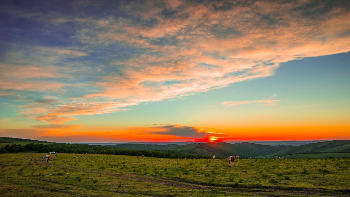 夏的草原草原的晚霞
