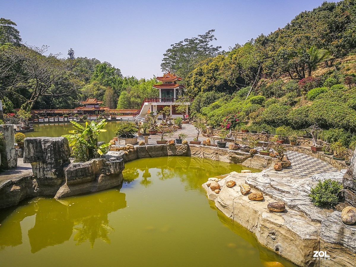 深圳仙湖植物园照片图片