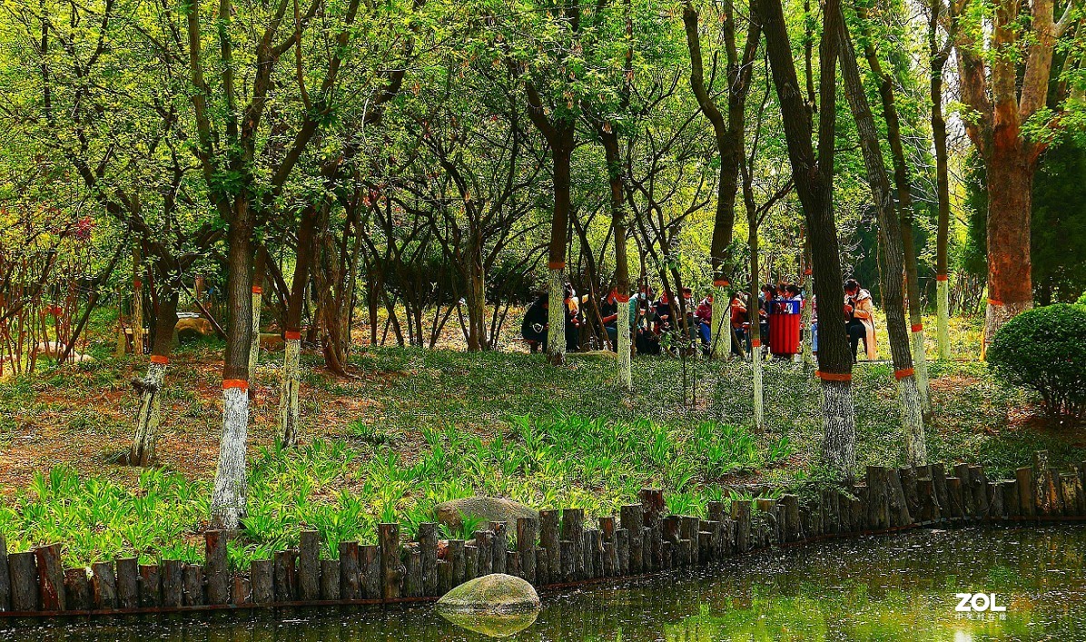 一组卡片机小景片，锐度大了，颜色重了，下次有数了，长时间不用手生了！哈哈！