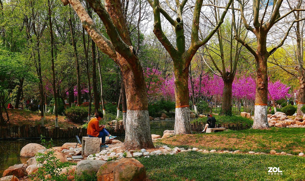 一组卡片机小景片，锐度大了，颜色重了，下次有数了，长时间不用手生了！哈哈！