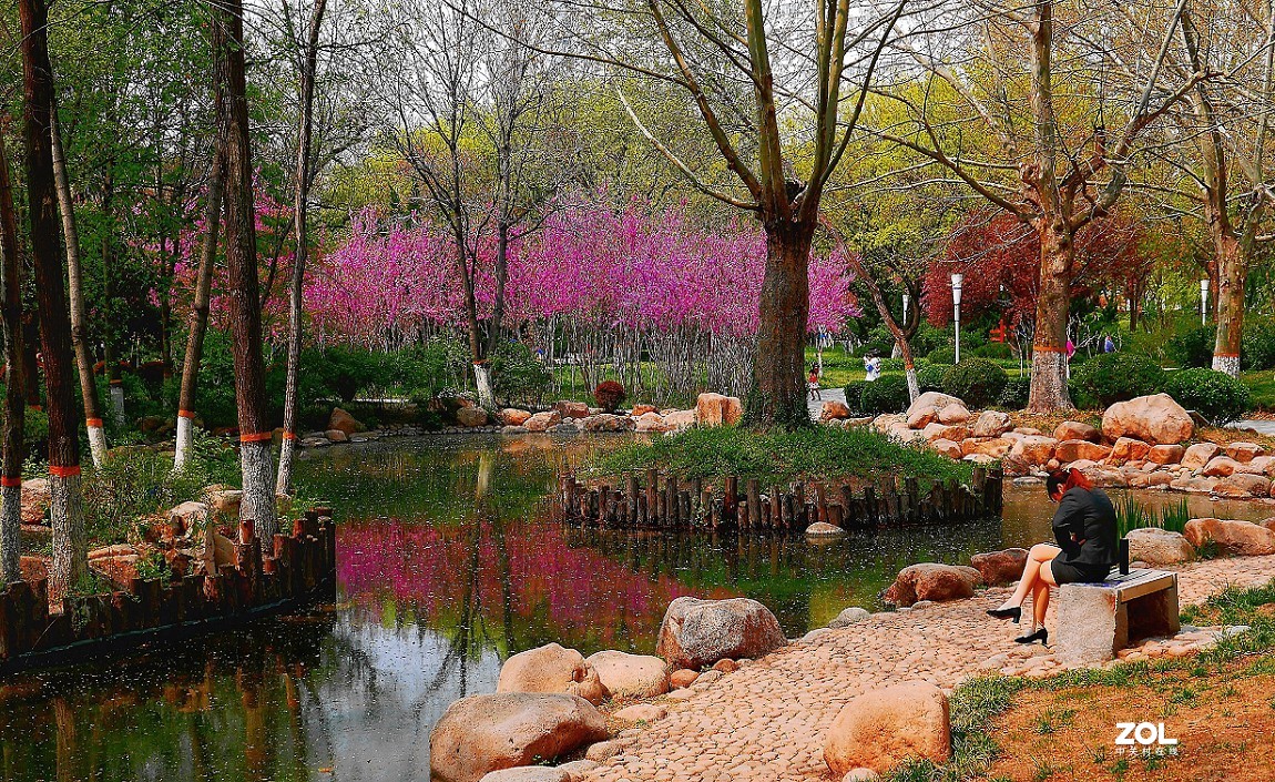 一组卡片机小景片，锐度大了，颜色重了，下次有数了，长时间不用手生了！哈哈！