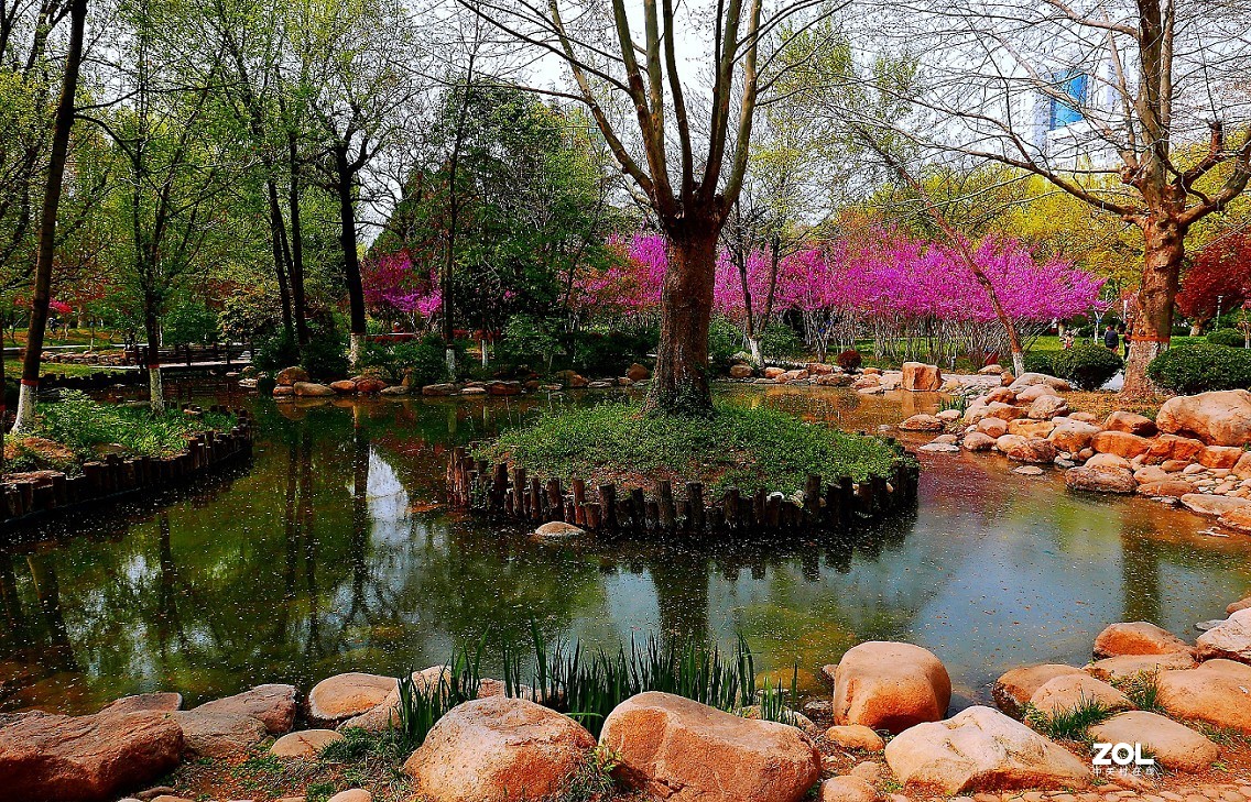 一组卡片机小景片，锐度大了，颜色重了，下次有数了，长时间不用手生了！哈哈！