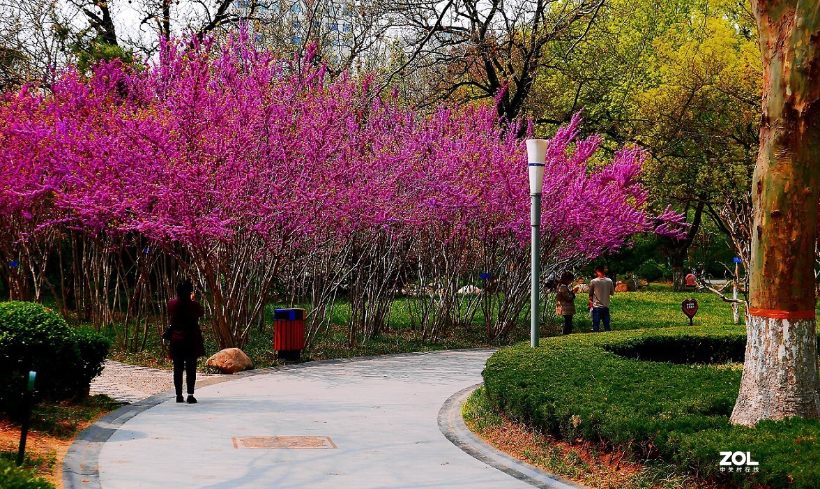 一组卡片机小景片，锐度大了，颜色重了，下次有数了，长时间不用手生了！哈哈！
