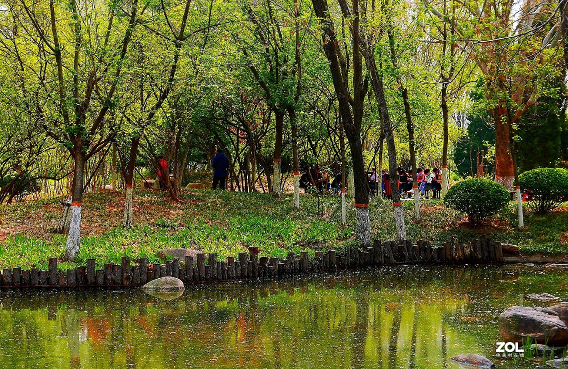 一组卡片机小景片，锐度大了，颜色重了，下次有数了，长时间不用手生了！哈哈！