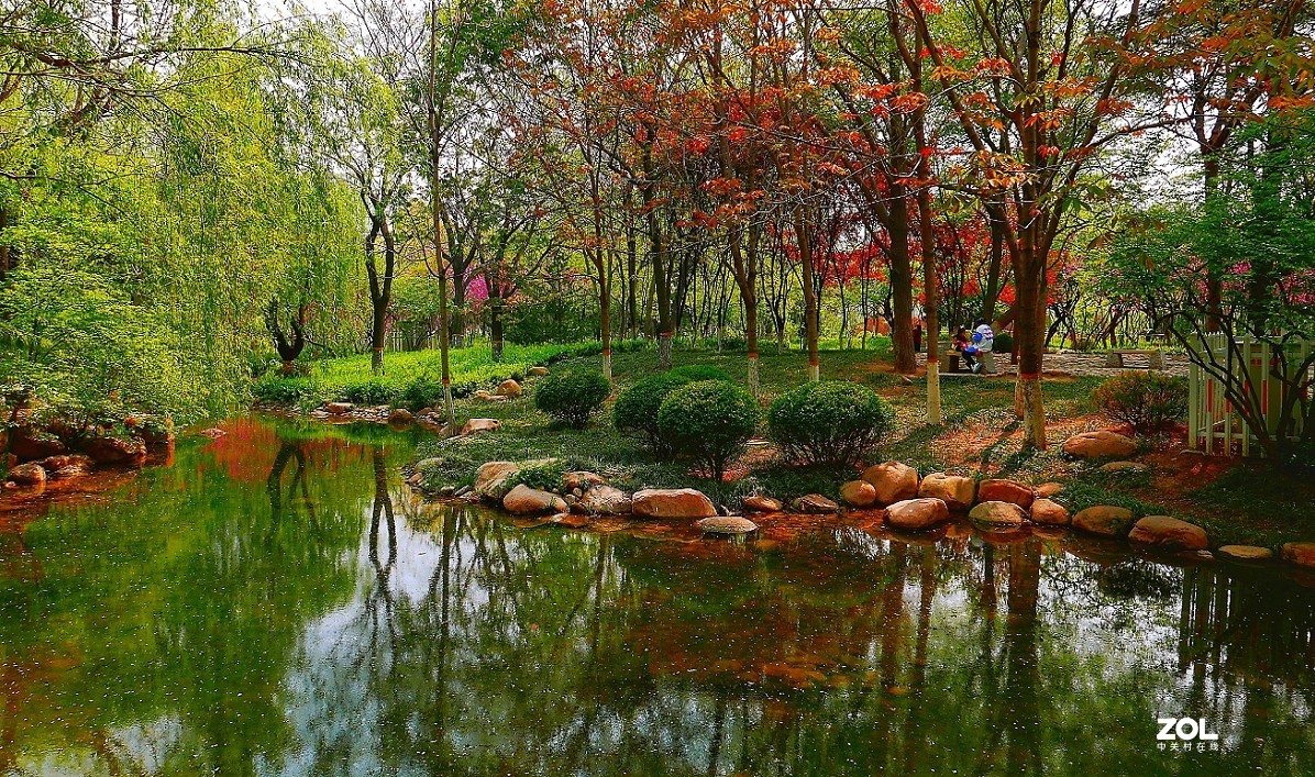 一组卡片机小景片，锐度大了，颜色重了，下次有数了，长时间不用手生了！哈哈！