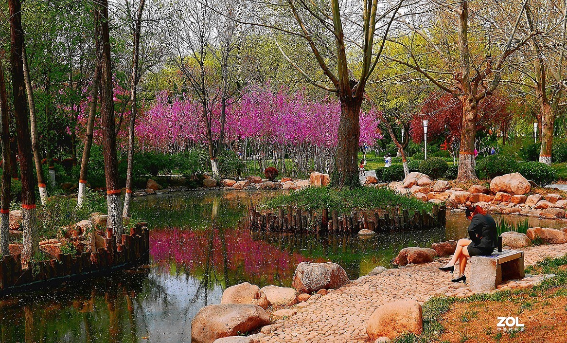 一组卡片机小景片，锐度大了，颜色重了，下次有数了，长时间不用手生了！哈哈！