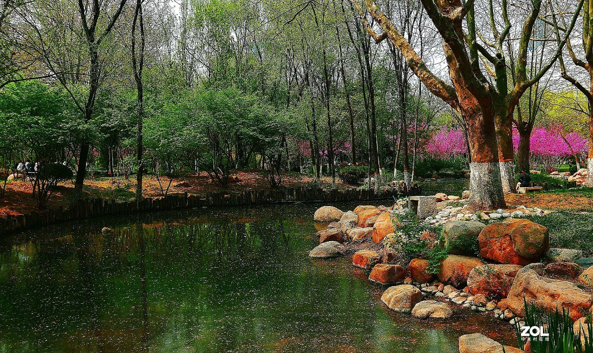 一组卡片机小景片，锐度大了，颜色重了，下次有数了，长时间不用手生了！哈哈！