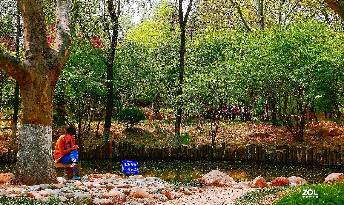 一组卡片机小景片，锐度大了，颜色重了，下次有数了，长时间不用手生了！哈哈！