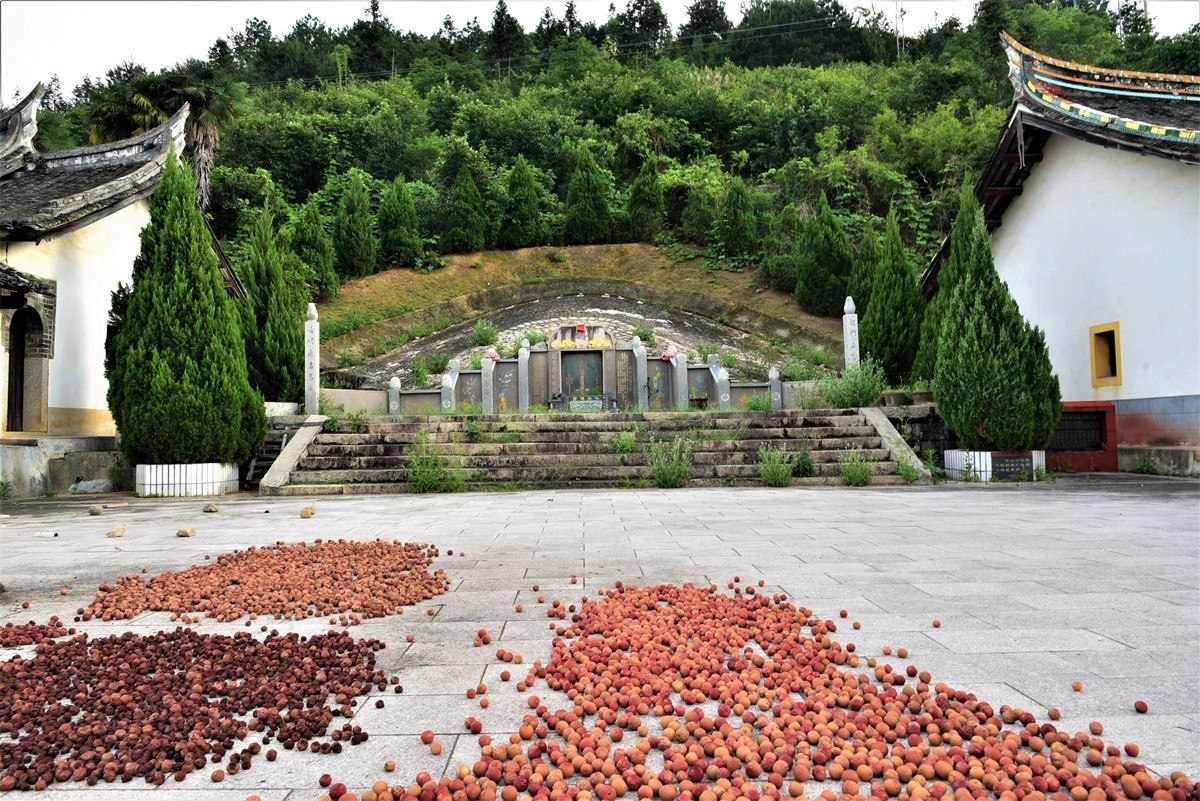 上杭太拔镇院田村