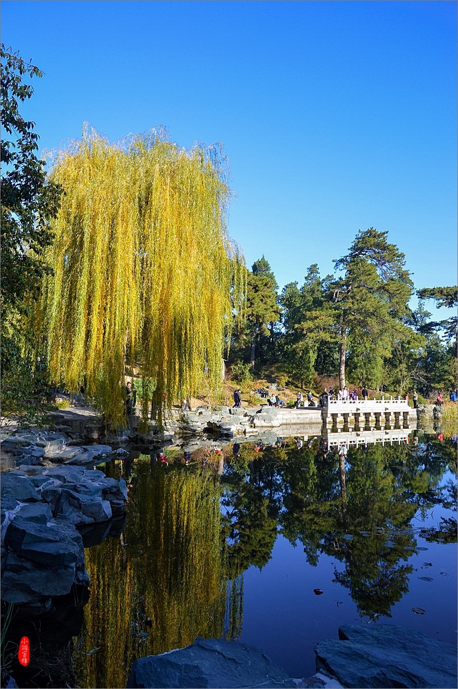 香山公园游拍d10918