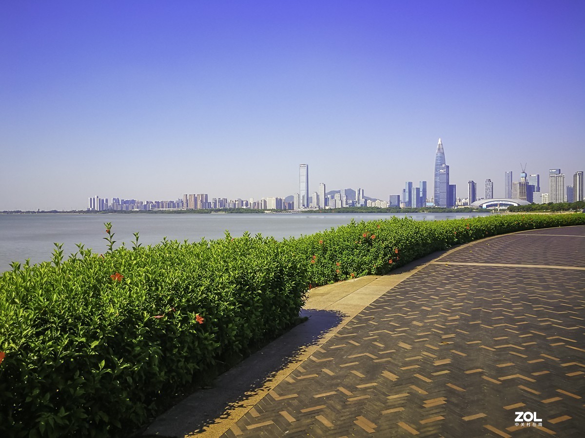 深圳湾红树林公园掠影