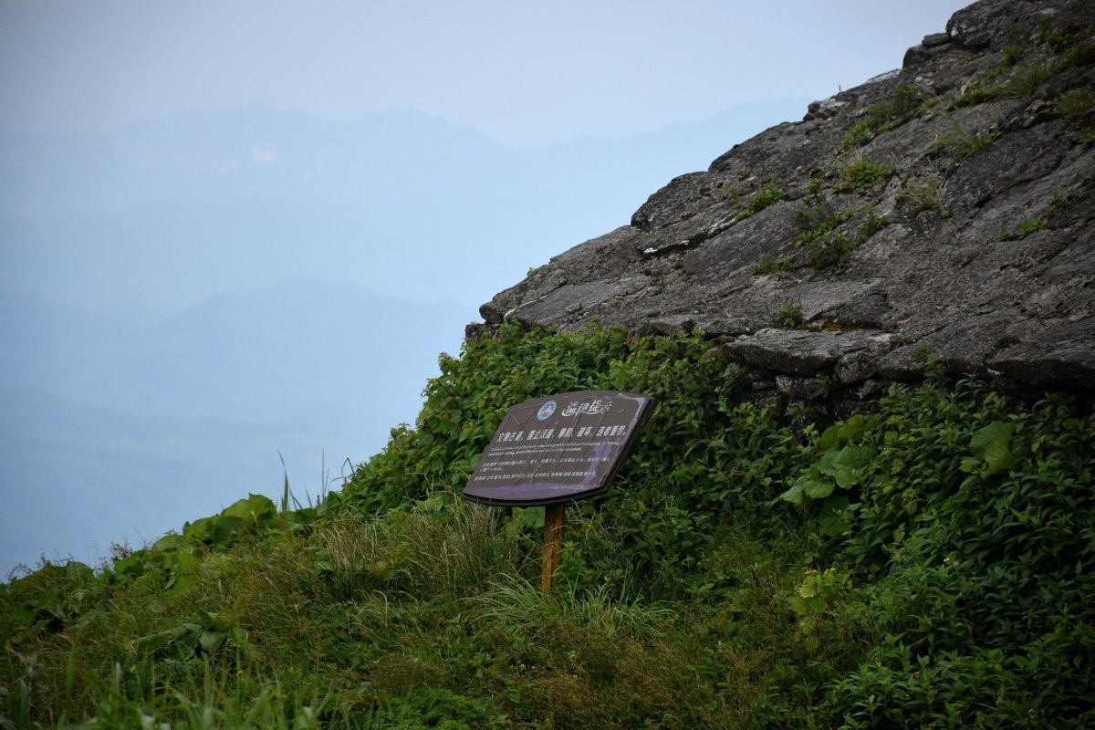 2021夏 渝川赣（47）葛仙坛
