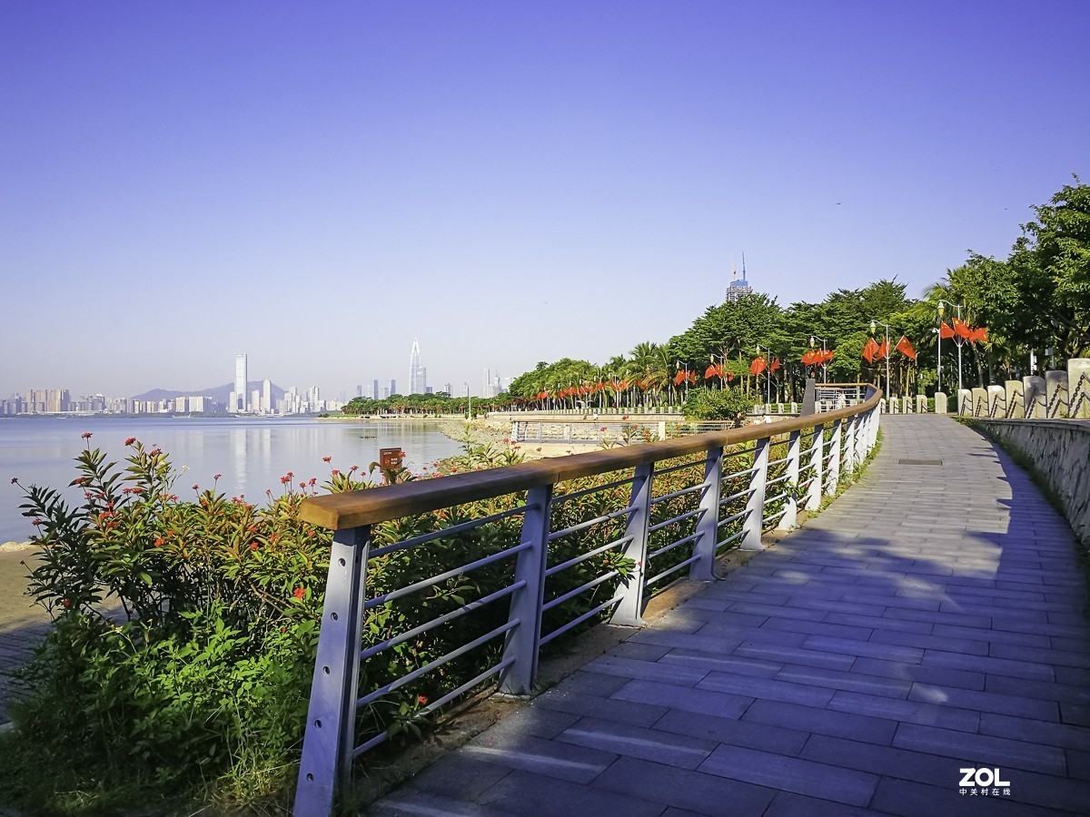 深圳湾红树林公园掠影