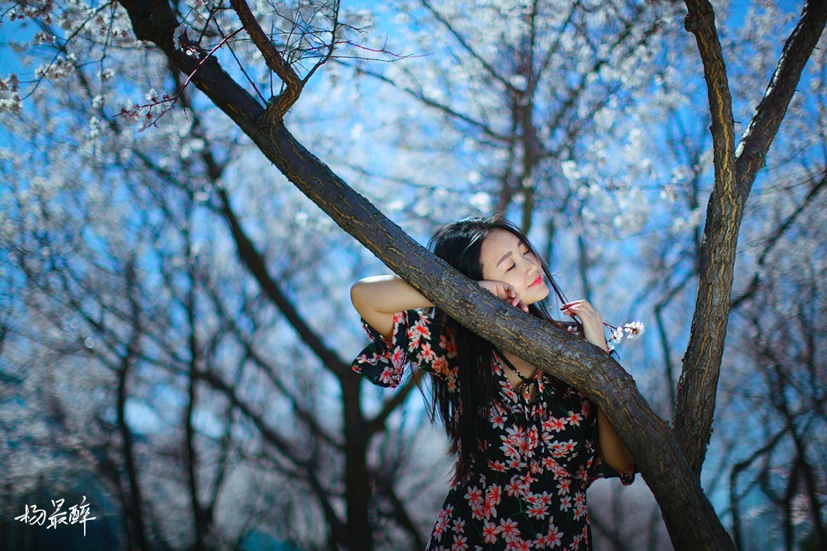 花与她