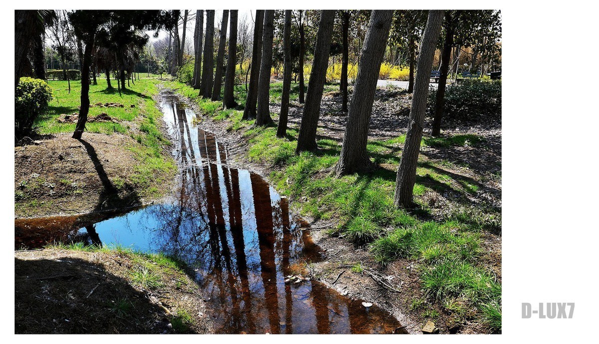 柳堡（D-LUX7试机）