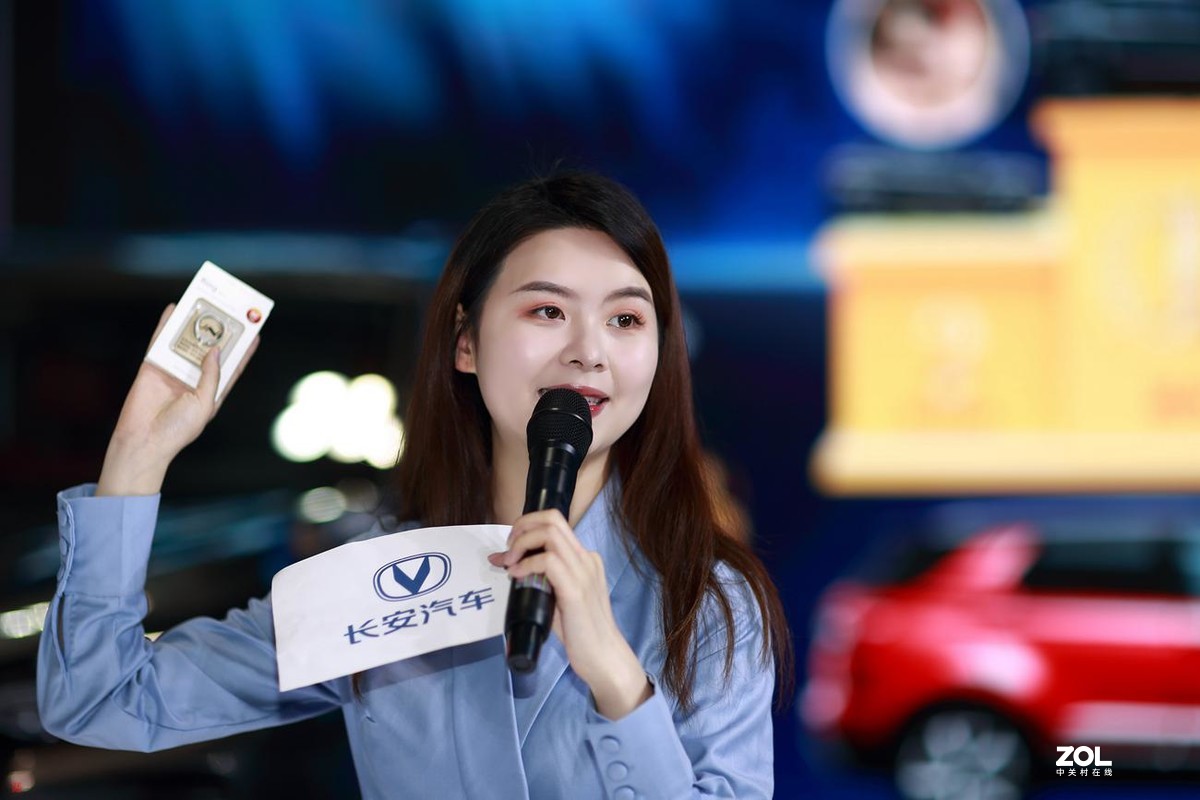 21重庆南坪车展(2)