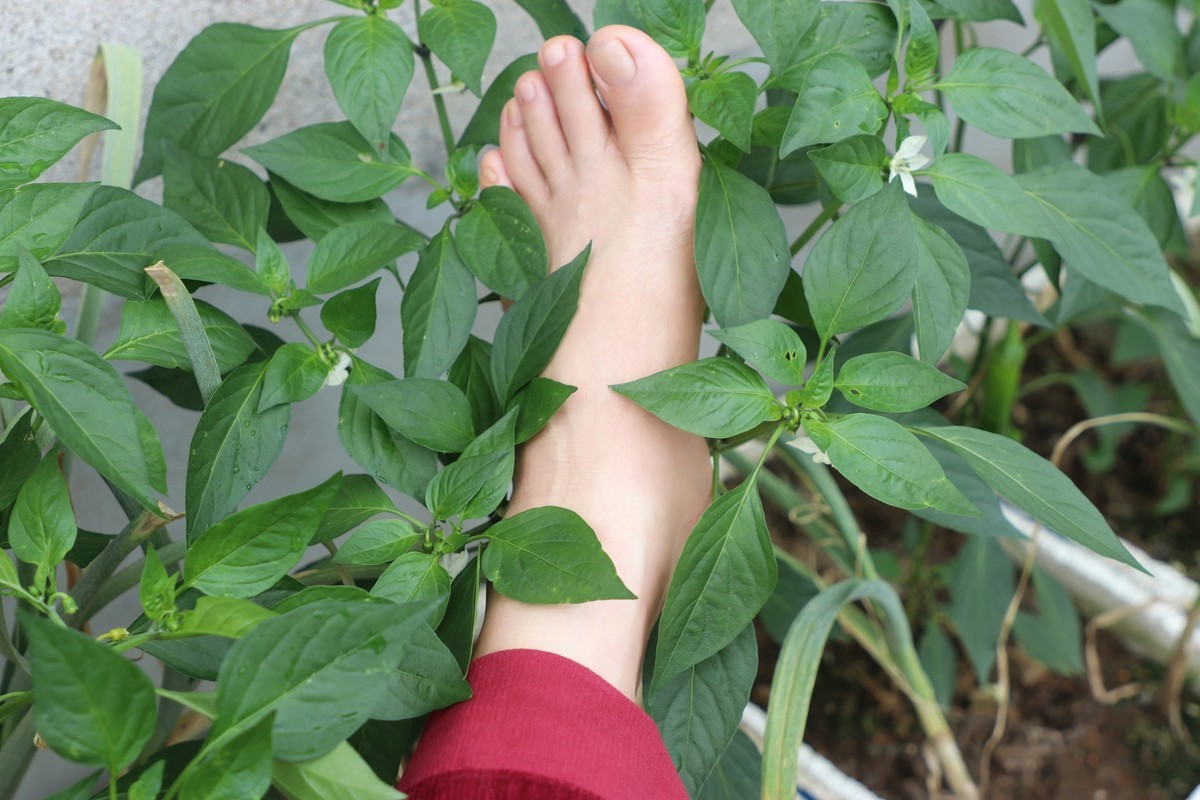 我的裸足拍摄17p