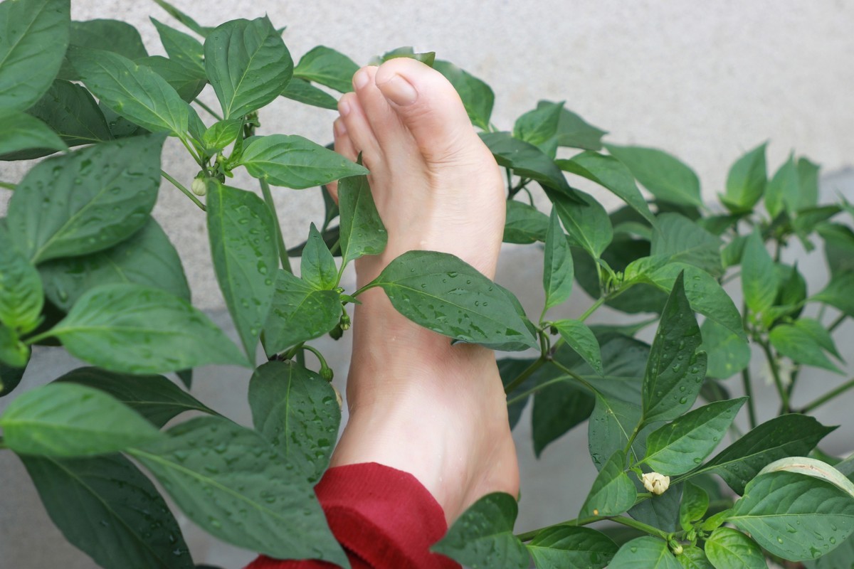 我的裸足拍摄17p