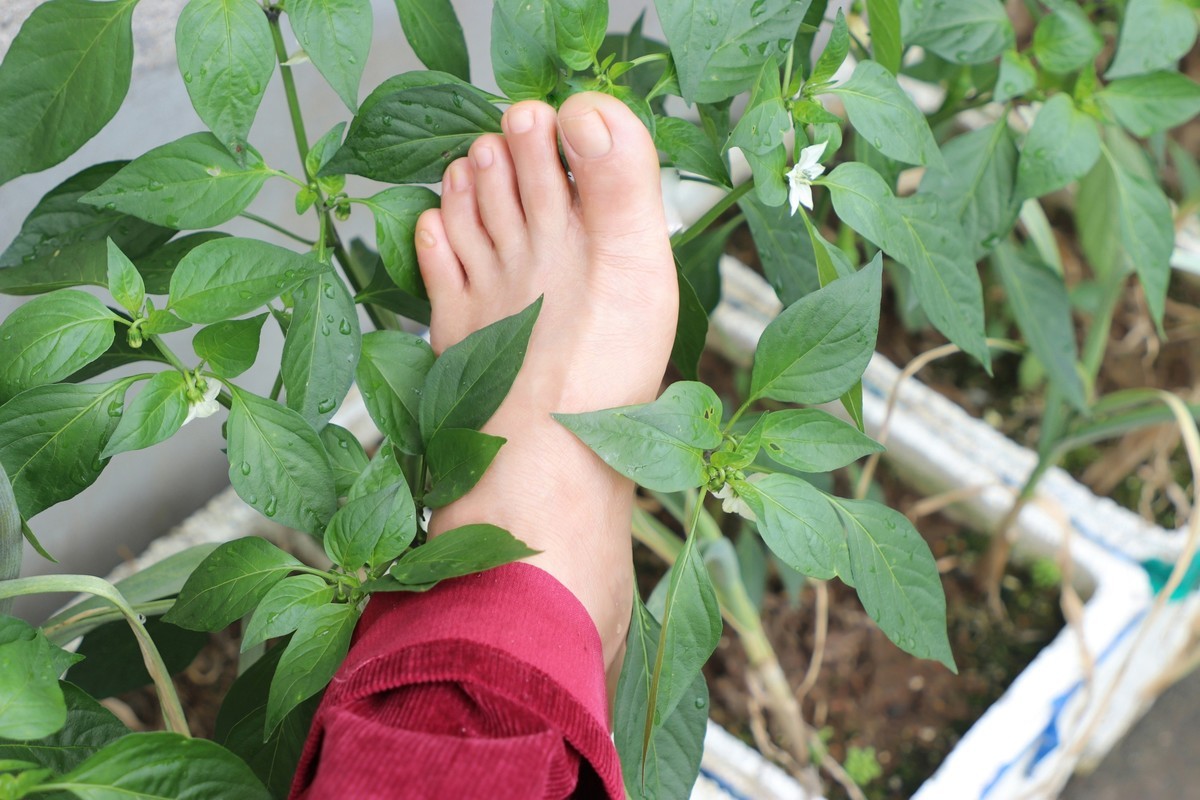 我的裸足拍摄17p