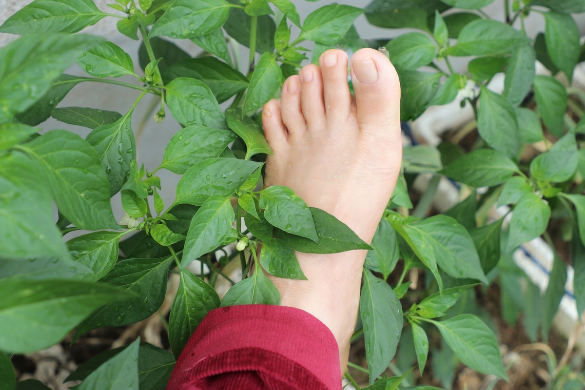 我的裸足拍摄17p