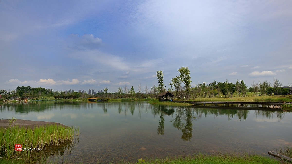 江家湿地一瞥（下）