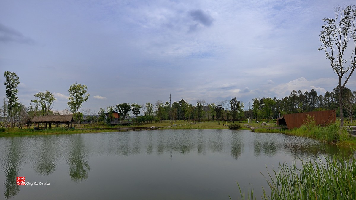 江家湿地一瞥（下）