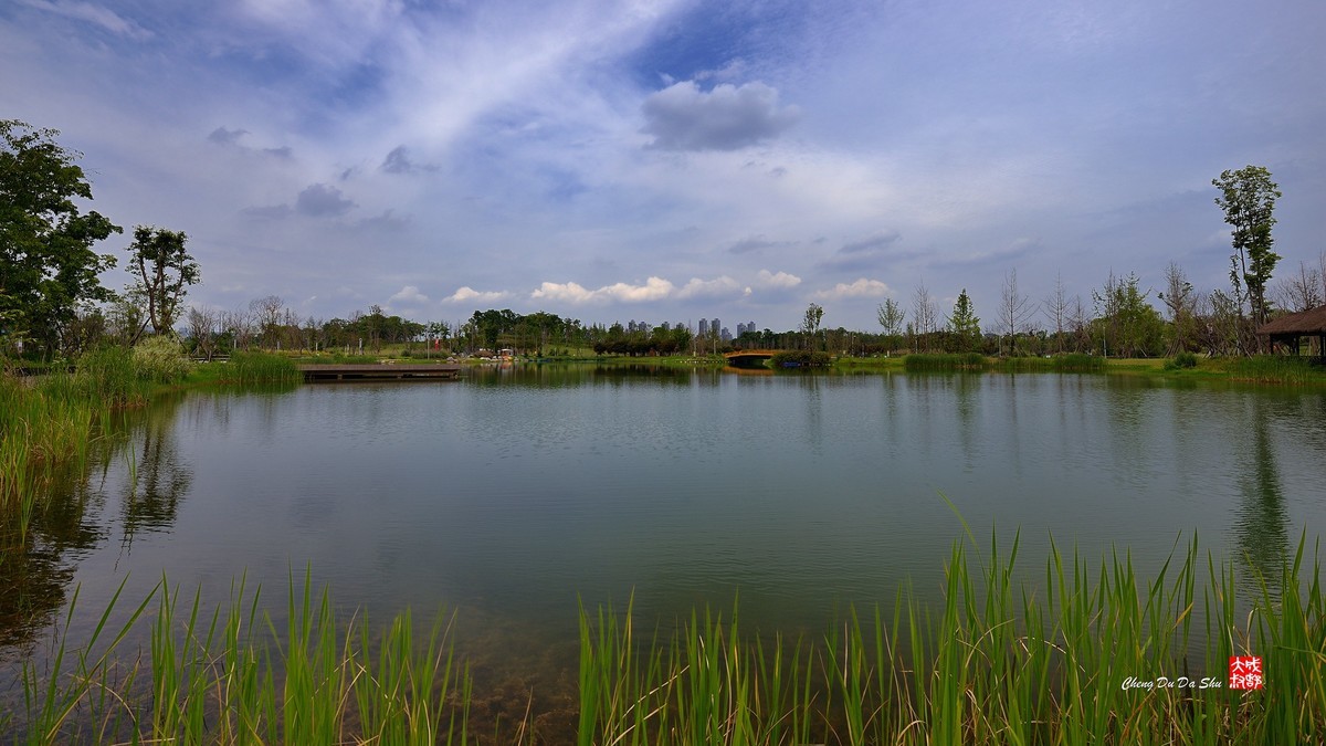 江家湿地一瞥（下）