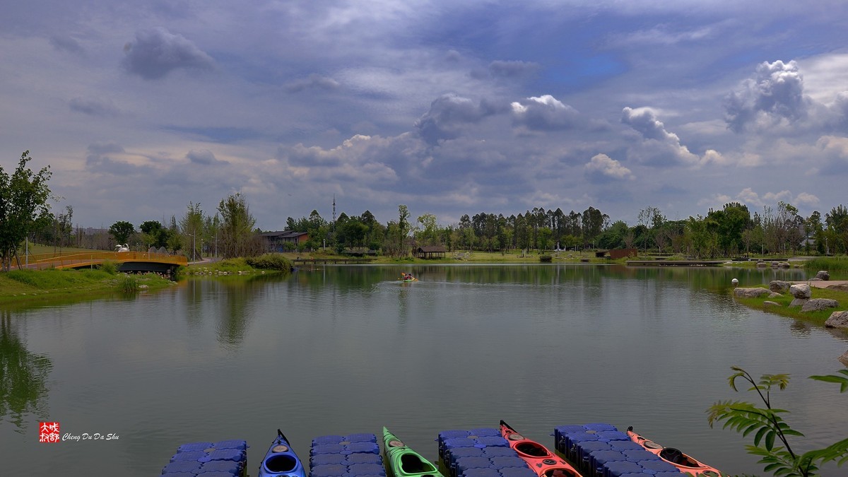 江家湿地一瞥（下）