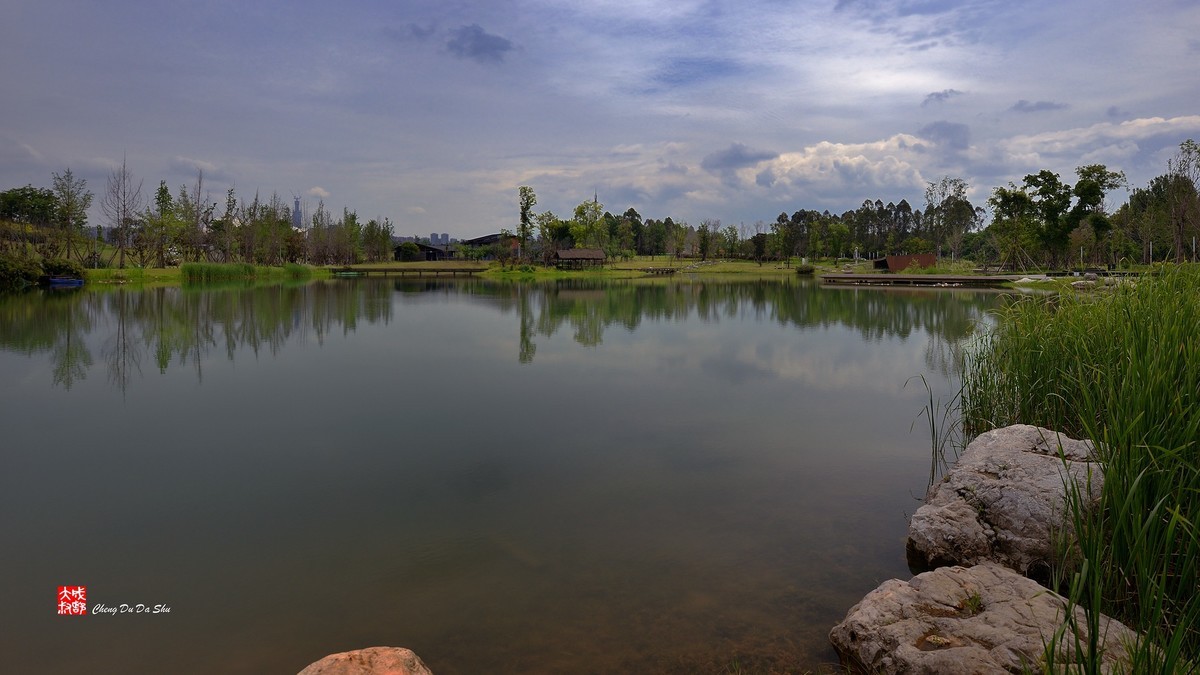 江家湿地一瞥（下）