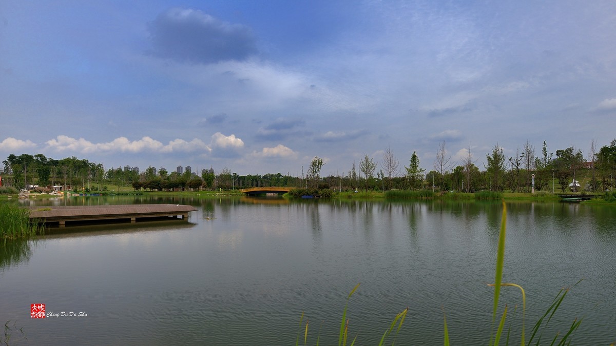 江家湿地一瞥（下）