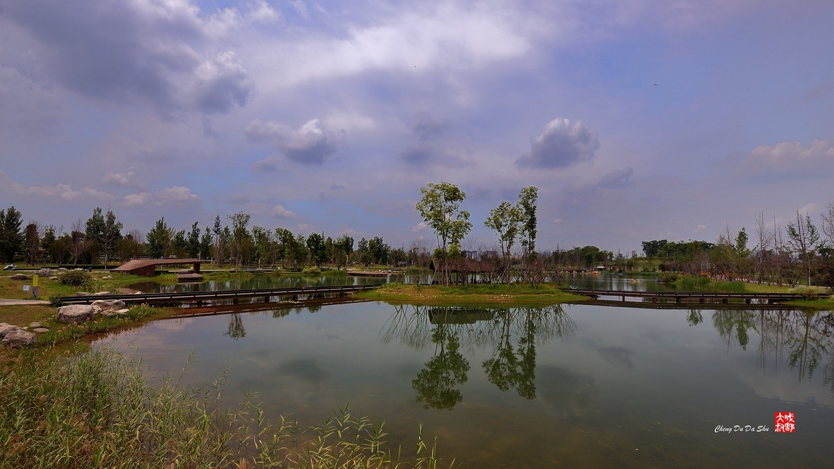 江家湿地一瞥（下）