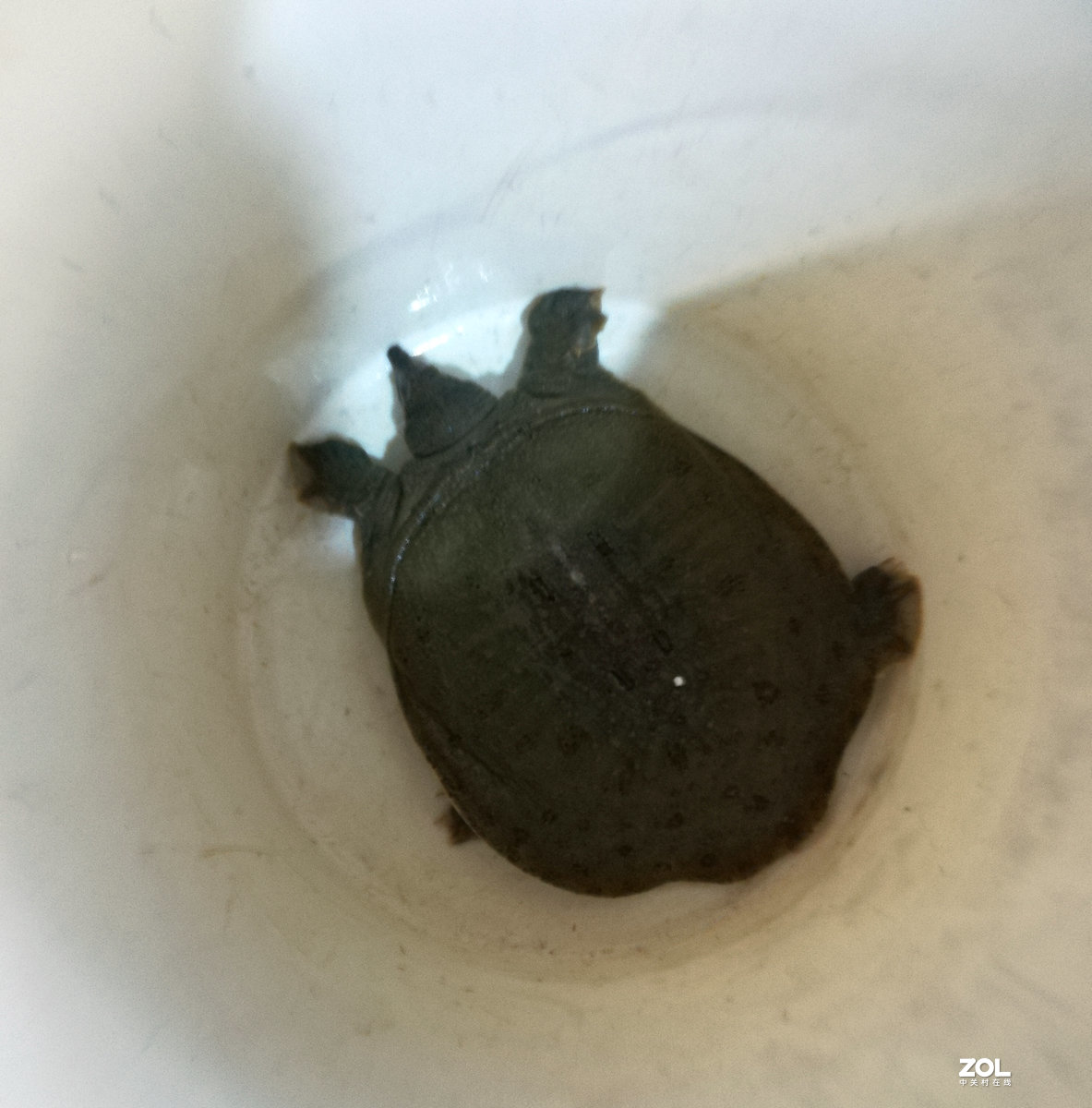 漫步星城 走街串巷（98）美明路