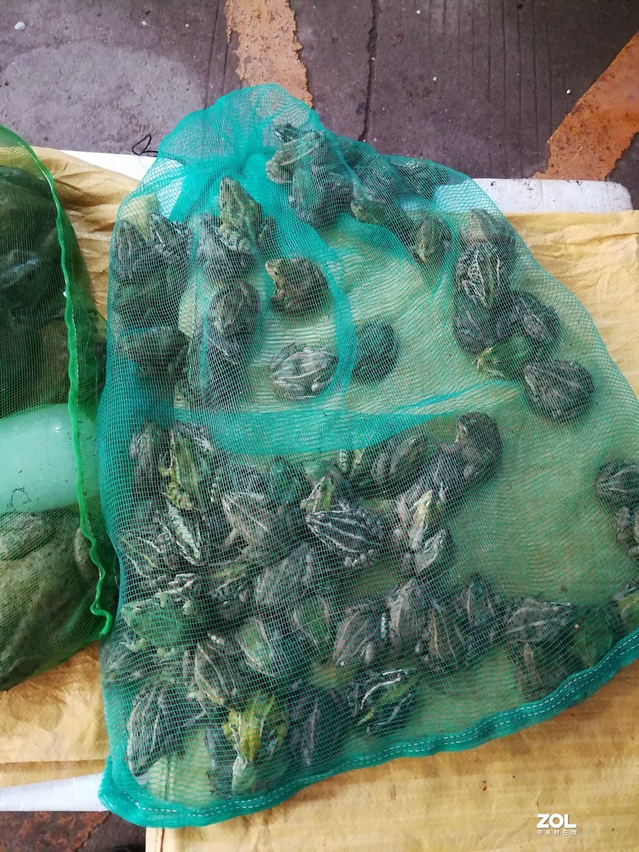 漫步星城 走街串巷（98）美明路