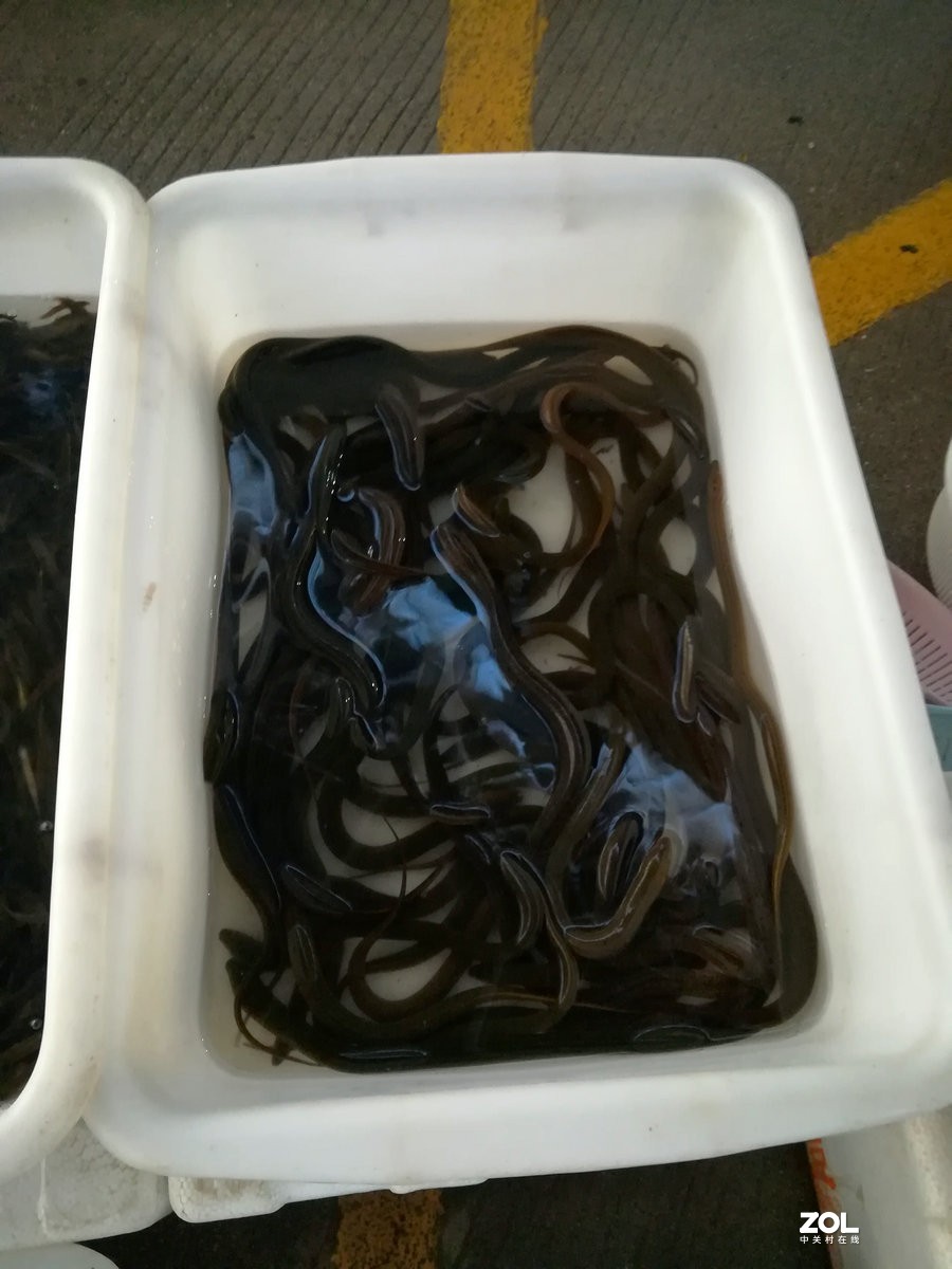 漫步星城 走街串巷（98）美明路