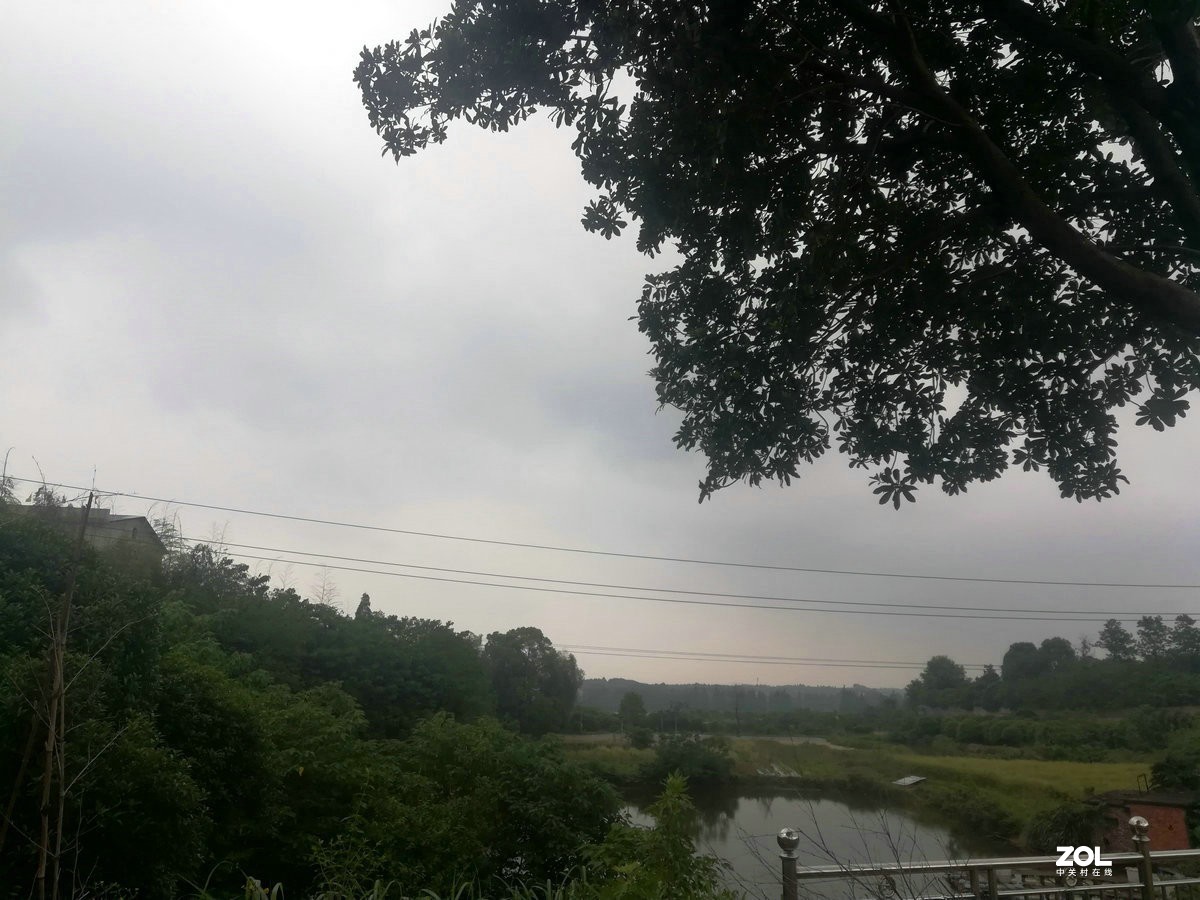 漫步星城 走街串巷（107）禁止开发区