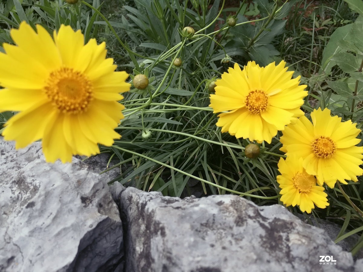 漫步星城 走街串巷（107）禁止开发区