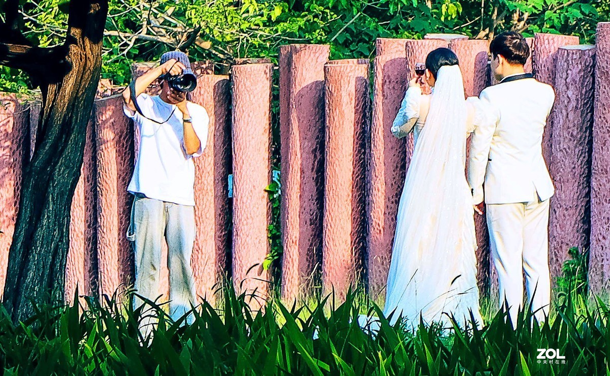 一个半画幅，一个狗头，依旧不想用手机，如之奈何？