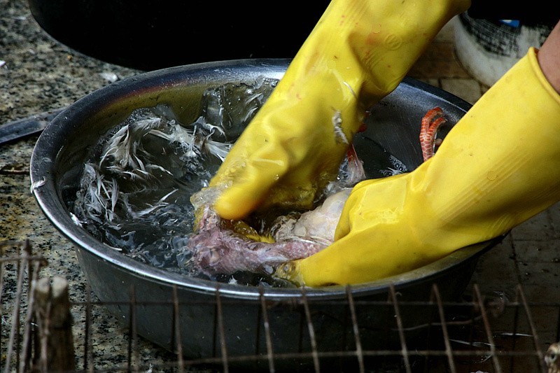 344【寿星老海南游摄日记】21.03.19宰鸽全过程，太麻利了！只需三分钟！