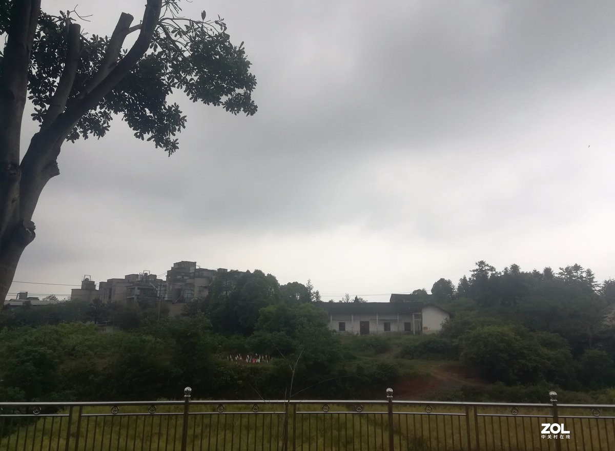 漫步星城 走街串巷（107）禁止开发区