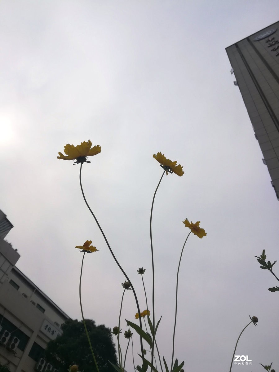 漫步星城 走街串巷（107）禁止开发区