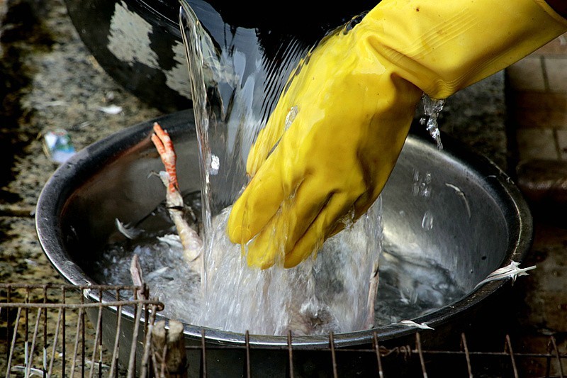 344【寿星老海南游摄日记】21.03.19宰鸽全过程，太麻利了！只需三分钟！