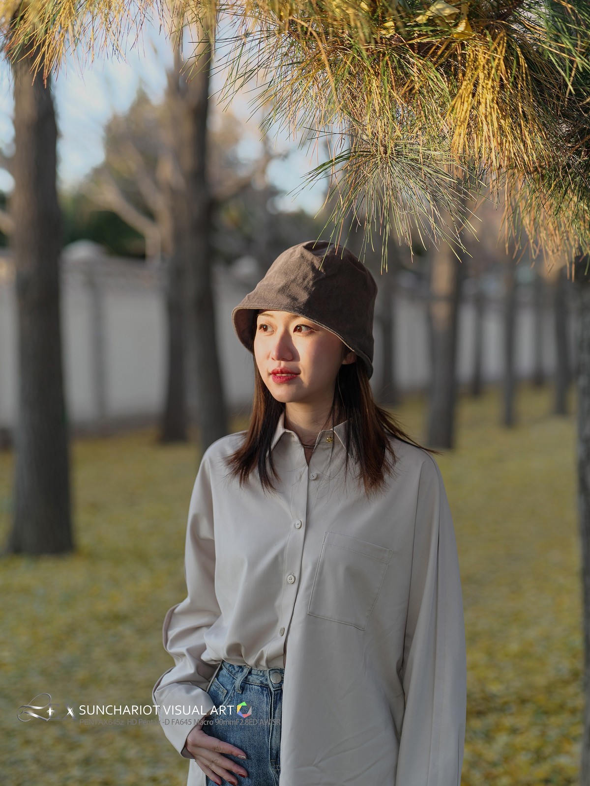 宾得645z银杏树下拍女孩 （二）