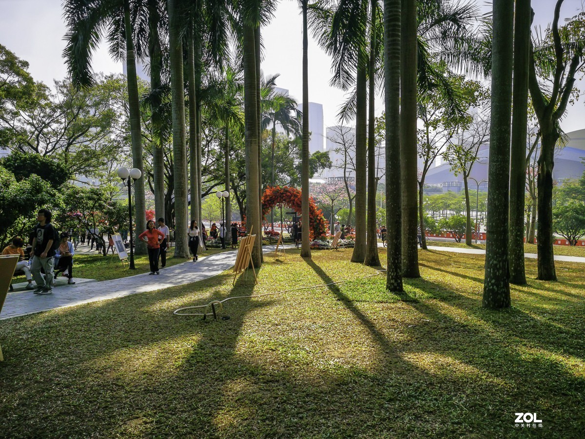 深圳莲花山公园 ~ 掠影