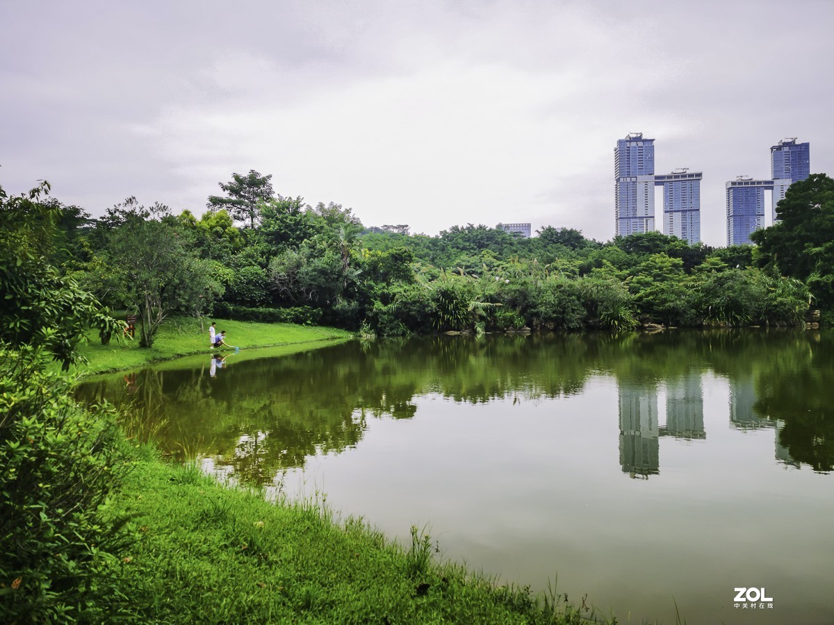 深圳蓮花山公園 ~ 掠影