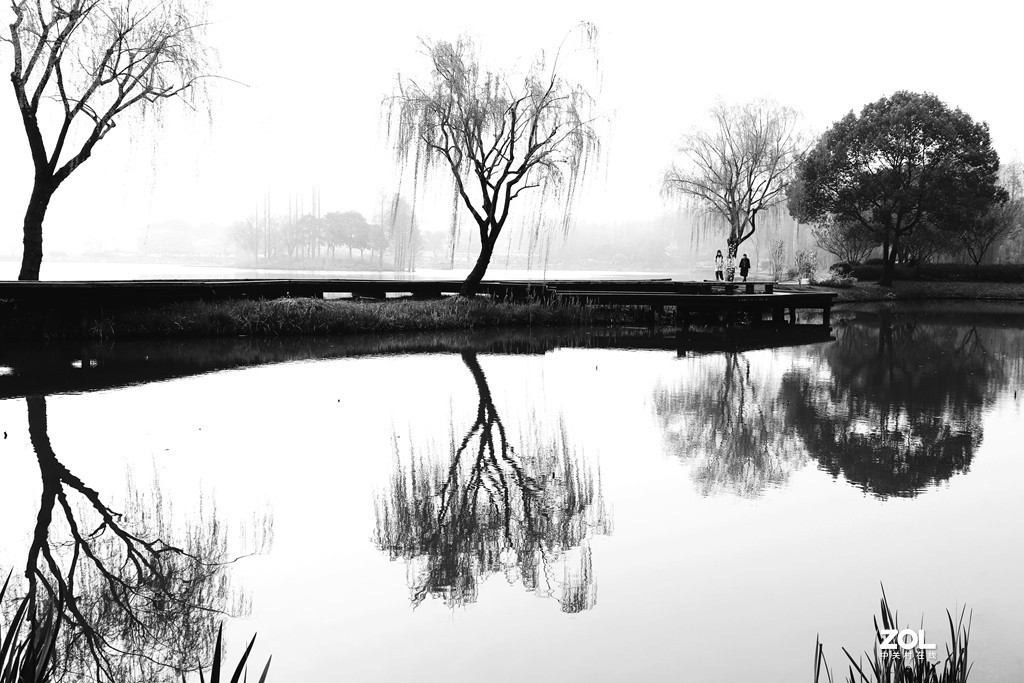 细雨蒙蒙别有景